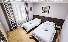 Sunflower Rooms